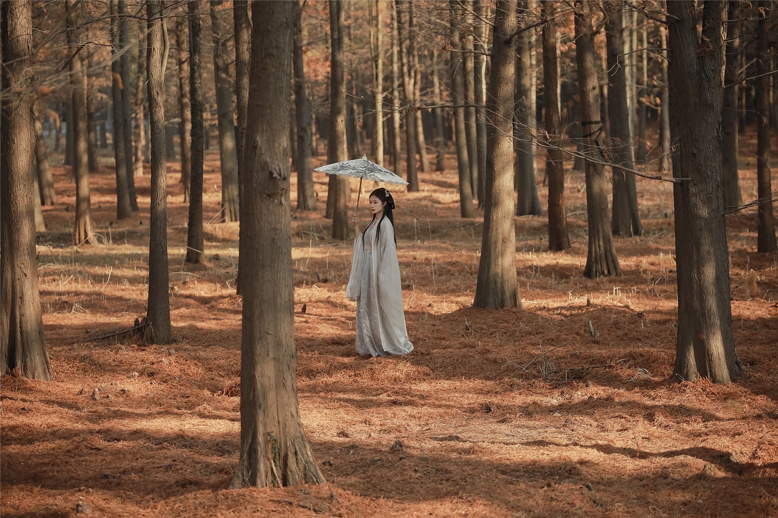 YITUYU艺图语 2025.01.28 叹秋 溱溱